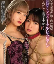 BBAN-388 Noa Eikawa รักรวดรัดที่สารภาพกลางออฟฟิศจนเกินเลย 2 BBAN-388 Noa Eikawa รักรวดรัดที่สารภาพกลางออฟฟิศจนเกินเลย
